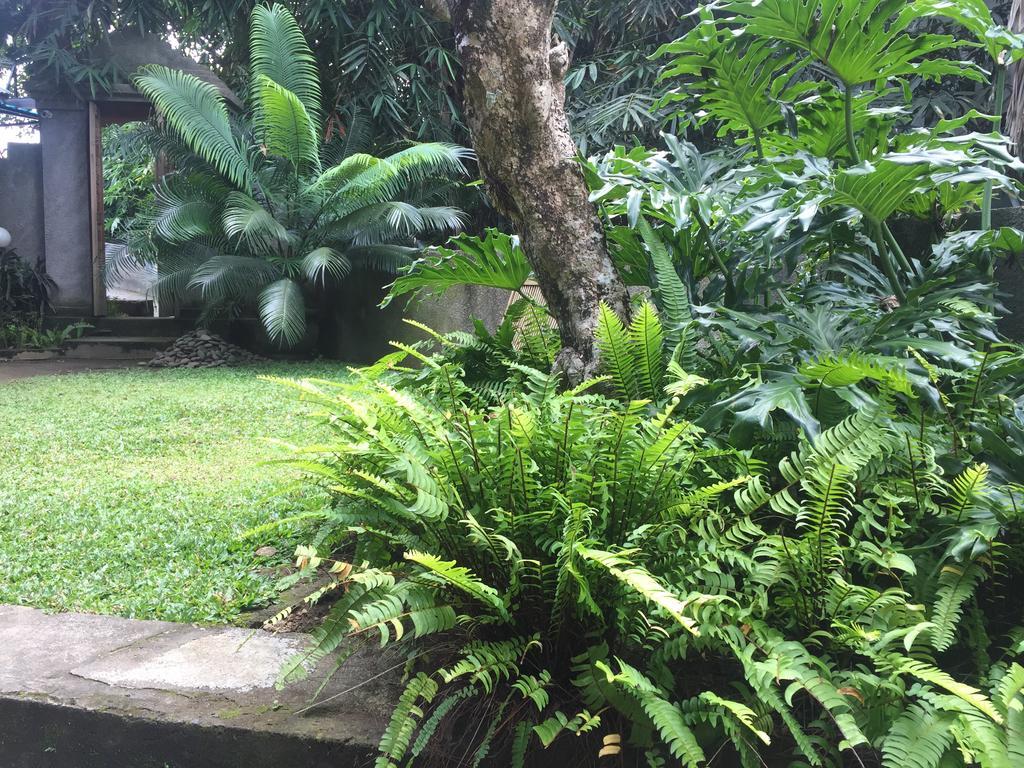 Kiyan Teges Ubud 호텔 외부 사진
